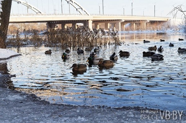Пейзажи зимней Брестской крепости