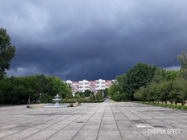 Сильный ветер сохранится в Беларуси 28 марта: что он уже наделал