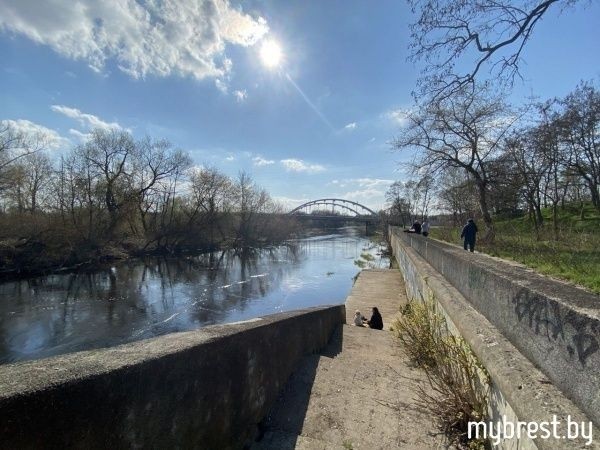 Как выглядит новый участок набережной реки Мухавец в Бресте