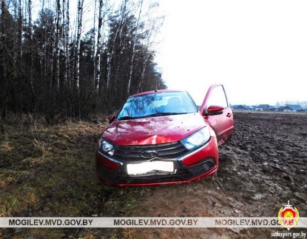 Пьяный житель Брестской области с другом угнали авто и пытались его сжечь