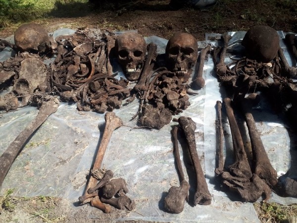 У деревни Тартаки Барановичского района ведутся поисковые работы на месте массового захоронения жертв фашизма У деревни Тартаки Барановичского района ведутся поисковые работы на месте массового захоронения жертв фашизма