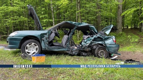 Двое детей погибли в лобовом столкновении автомобилей на автодороге M10