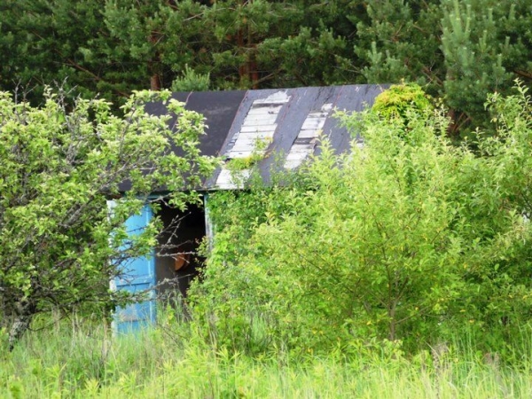 
                Читатель: Не подскажите, куда можно обратиться со следующей ситуацией, чтобы добиться должного результата?
            