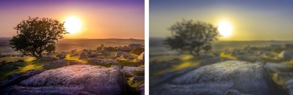 Разительная разница. Ученые показали, как видят мир люди и собаки Разительная разница. Ученые показали, как видят мир люди и собаки