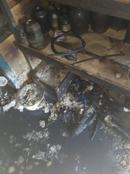 На пожаре в Брестской области мальчик получил ожоги 90% тела На пожаре в Брестской области мальчик получил ожоги 90% тела