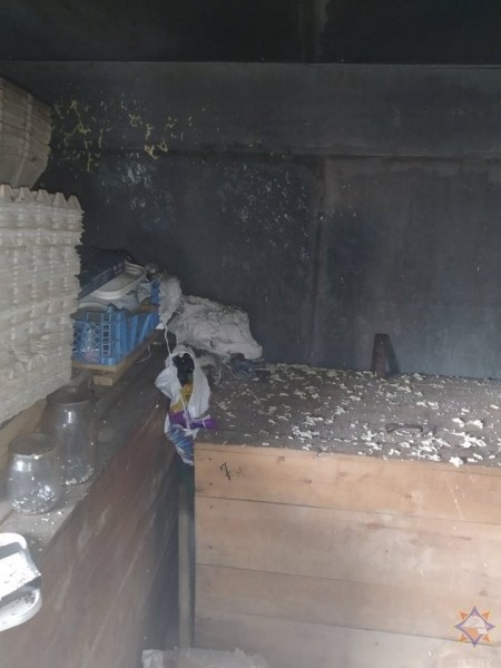 На пожаре в Брестской области мальчик получил ожоги 90% тела На пожаре в Брестской области мальчик получил ожоги 90% тела