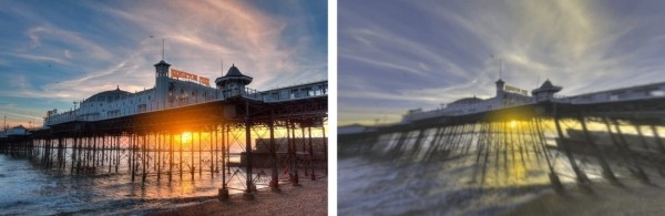 Разительная разница. Ученые показали, как видят мир люди и собаки Разительная разница. Ученые показали, как видят мир люди и собаки