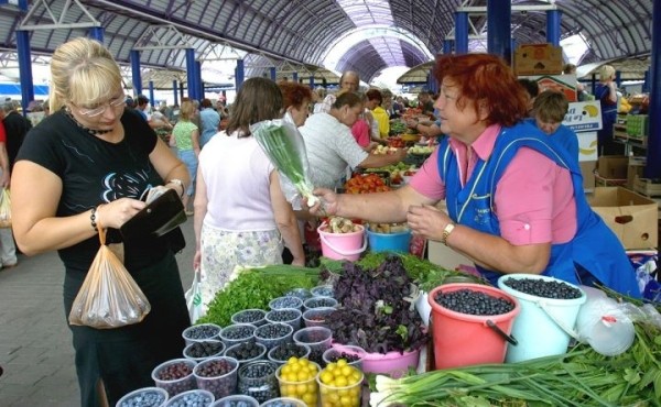 Почем в Барановичском регионе принимают ягоды и грибы?