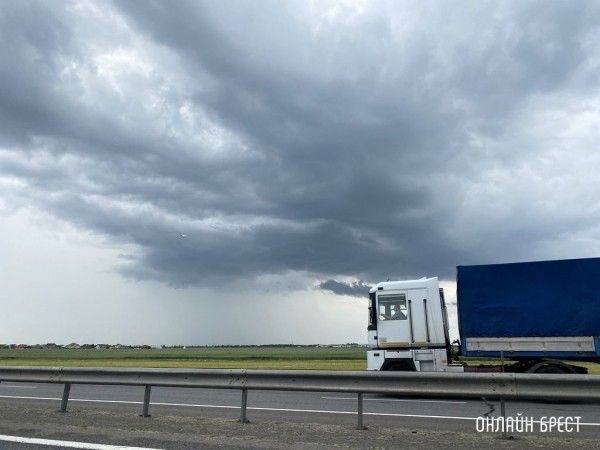 Из Германии в Беларусь вернут двух водителей, они работали нелегально