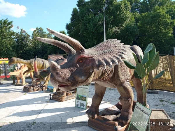 Жаркое лето в большом парке динозавров! Весело проведите время всей семьей в «Динолэнд» в Бресте Жаркое лето в большом парке динозавров! Весело проведите время всей семьей в «Динолэнд» в Бресте