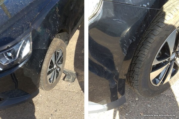 Собаки — это понятно. А посмотрите, что с машиной может сделать кот Собаки — это понятно. А посмотрите, что с машиной может сделать кот