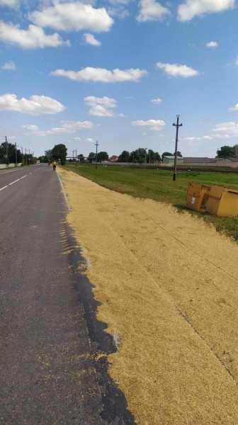 4 тонны зерна высыпалось на проезжую часть. За рулём грузовика находился житель Брестского района