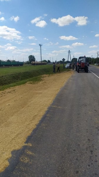4 тонны зерна высыпалось на проезжую часть. За рулём грузовика находился житель Брестского района