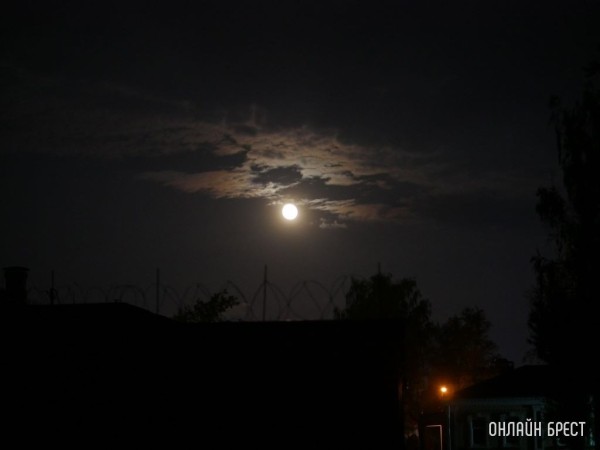 Брестчане могут наблюдать звездопад Персеиды в ближайшие ночи Брестчане могут наблюдать звездопад Персеиды в ближайшие ночи