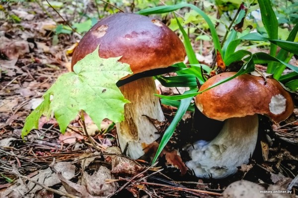 &laquo;Живем на 1100 рублей и за год отложили $9 тысяч&raquo;. Бюджет молодой семьи, которая копит на квартиру