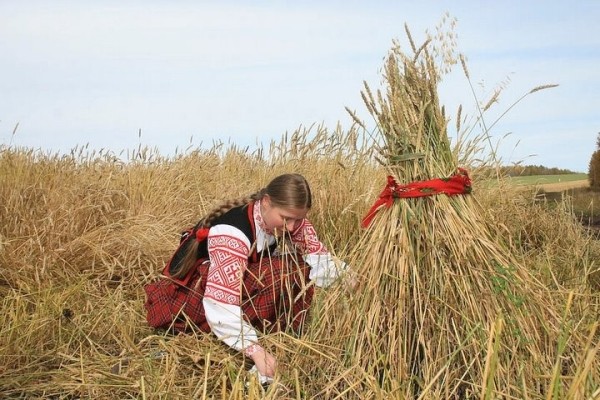 Брестская область планирует отметить «Дажынкі» 3 сентября