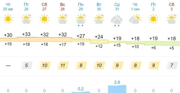 Желтый уровень опасности из-за жары объявлен в Брестской области 26 августа Желтый уровень опасности из-за жары объявлен в Брестской области 26 августа