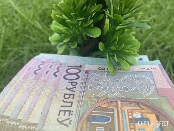 «Я дал себе время погулять и не думать о накоплениях». О своем бюджете рассказал молодой специалист лесного хозяйства