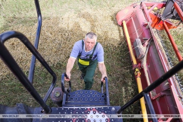 В Пружанском районе идет жатва. Фоторепортаж