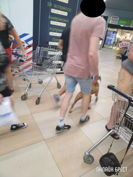 
                Читатель: В Евроопте на Варшавке парень с таким пёселем ходил, без намордника
            