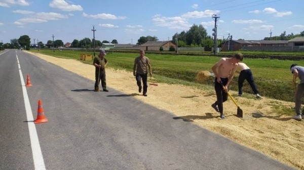 4 тонны зерна высыпалось на проезжую часть. За рулём грузовика находился житель Брестского района