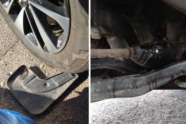 Собаки — это понятно. А посмотрите, что с машиной может сделать кот Собаки — это понятно. А посмотрите, что с машиной может сделать кот