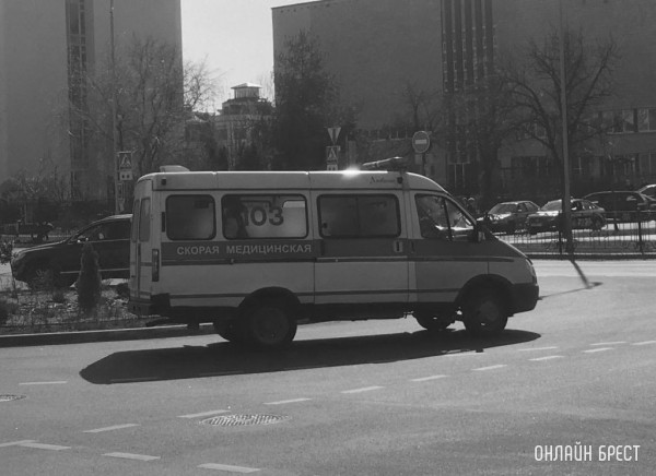 Житель Бреста скончался после укусов пчел