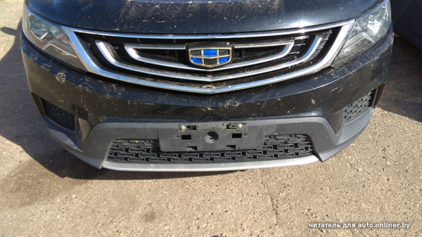 Собаки — это понятно. А посмотрите, что с машиной может сделать кот Собаки — это понятно. А посмотрите, что с машиной может сделать кот