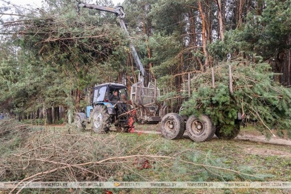 Парк воинов-интернационалистов в Бресте продолжат благоустраивать и создавать новые локации Парк воинов-интернационалистов в Бресте продолжат благоустраивать и создавать новые локации