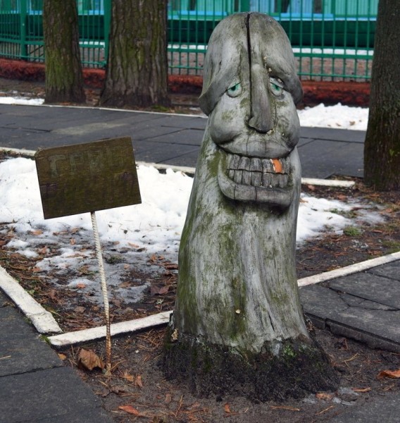 Странные грибы Беларуси. Можно ли их есть и что за это будет?