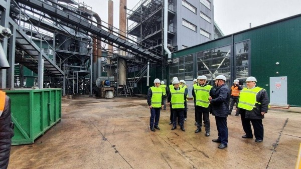 В Ивацевичском районе запустили новый цех по выращиванию шампиньонов