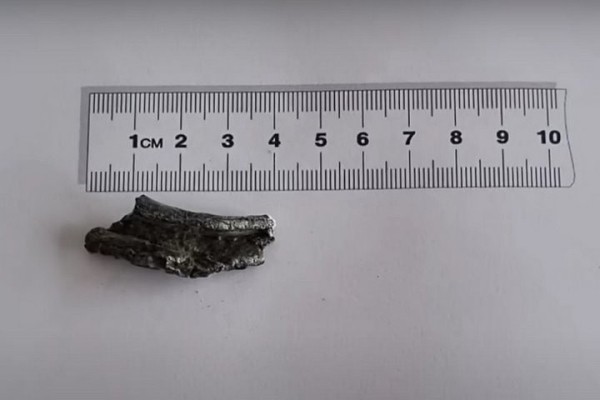 Самый известный белорусский кот заболел и перенес операцию