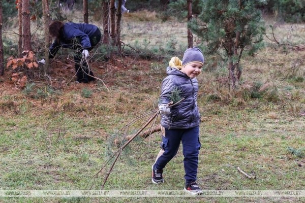Парк воинов-интернационалистов в Бресте продолжат благоустраивать и создавать новые локации Парк воинов-интернационалистов в Бресте продолжат благоустраивать и создавать новые локации