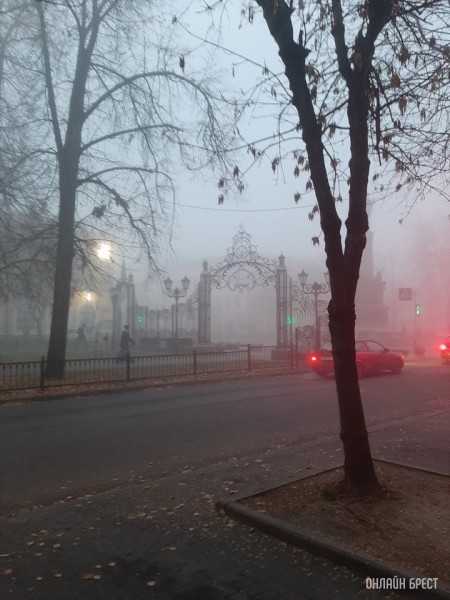 «Оранжевый» уровень опасности объявлен в Бресте из-за туманов