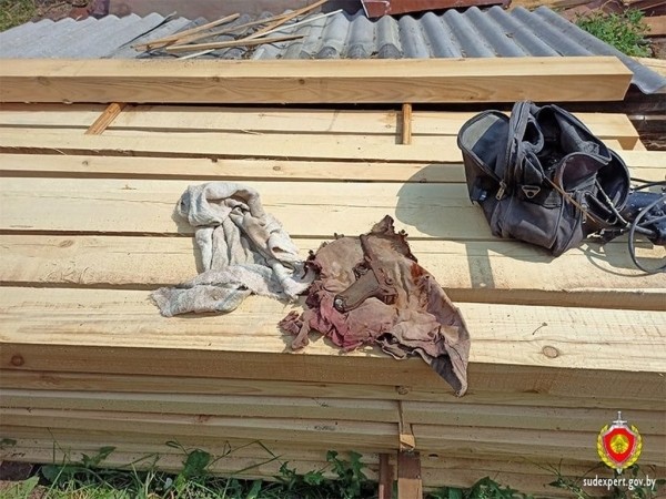 Брестчанка приобрела дом и обнаружила в нем пистолет Брестчанка приобрела дом и обнаружила в нем пистолет