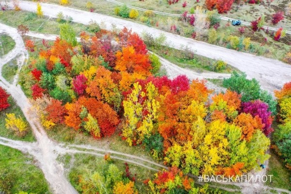 Краски осеннего Бреста
Краски осеннего Бреста