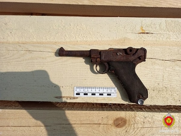 Брестчанка приобрела дом и обнаружила в нем пистолет Брестчанка приобрела дом и обнаружила в нем пистолет