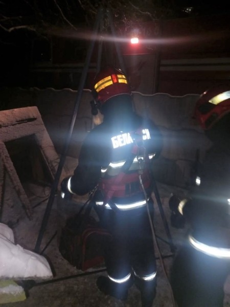 В Брестской области спасли кота В Брестской области спасли кота