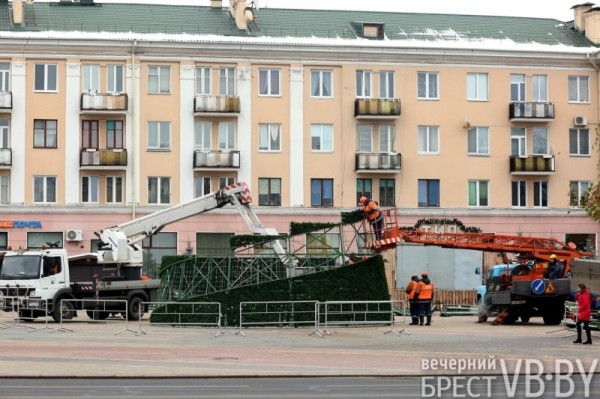 В Бресте на площади Ленина начался монтаж главной городской елки
