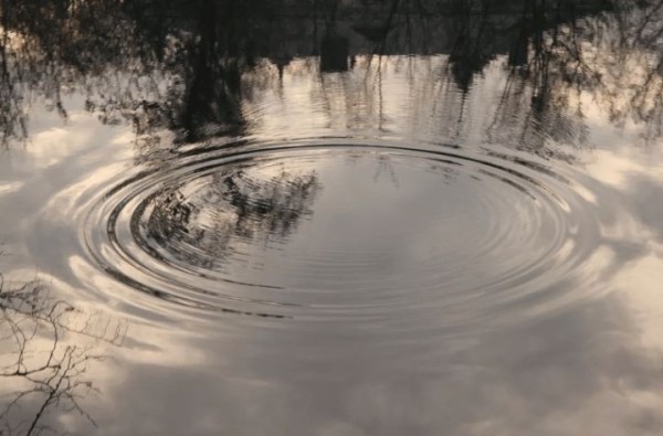 В Брестской области пропал рыбак, его нашли мертвым