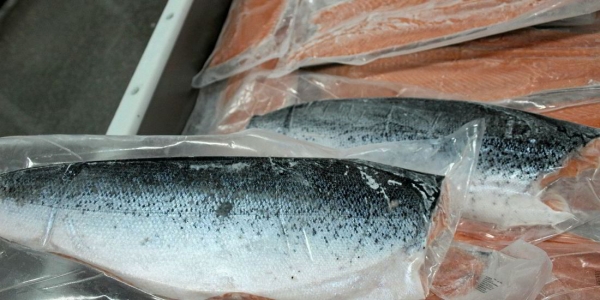 Белорус устал работать на стройке и рванул на рыбный завод в Норвегию. Что по деньгам?