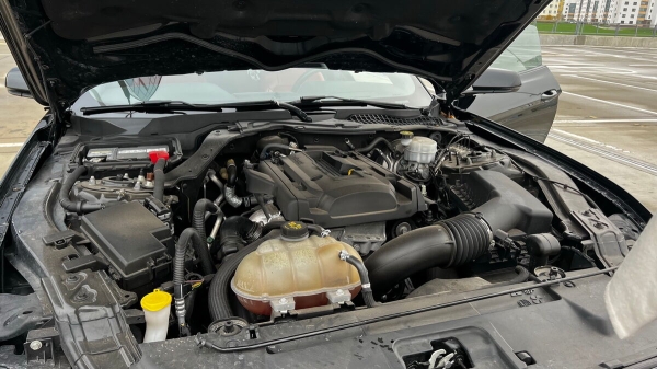 «Три года копила!» Блогер из Беларуси купила Ford Mustang, а теперь мечтает о машине в пять раз дороже