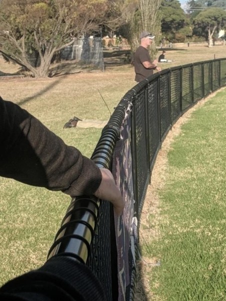 20 неоднозначных фото