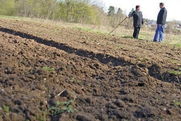 Изменены границы Пружан, Ружан и Шерешево Изменены границы Пружан, Ружан и Шерешево