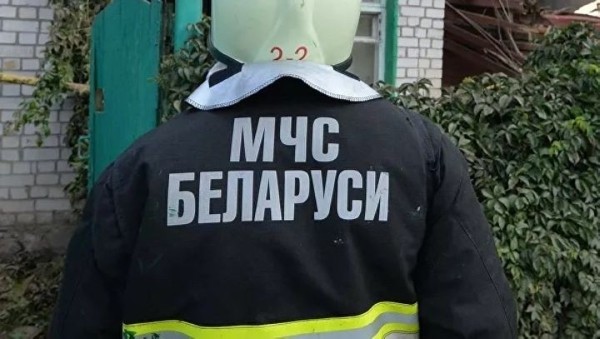 В Брестском районе загорелся птичник, погибли тысячи цыплят-бройлеров В Брестском районе загорелся птичник, погибли тысячи цыплят-бройлеров