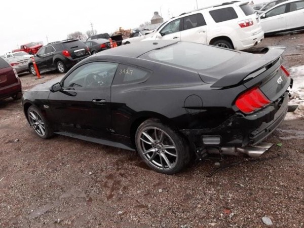 Белорус: «Оформил Mustang на вешалку-льготницу, а она забрала машину себе». Сама же девушка считает иначе Белорус: «Оформил Mustang на вешалку-льготницу, а она забрала машину себе». Сама же девушка считает иначе