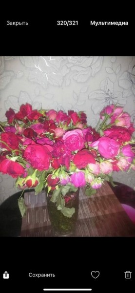 «Вялые и засохшие цветы — это норма?» Разбираемся, можно ли вернуть деньги за плохой букет