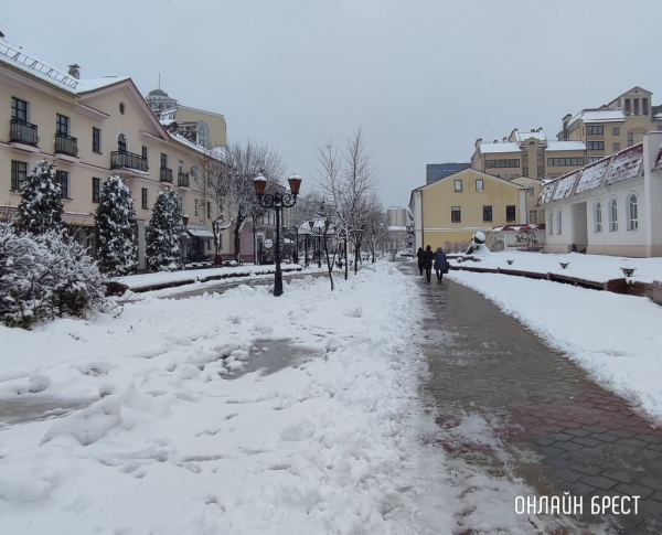 Чем грозит зима без снега