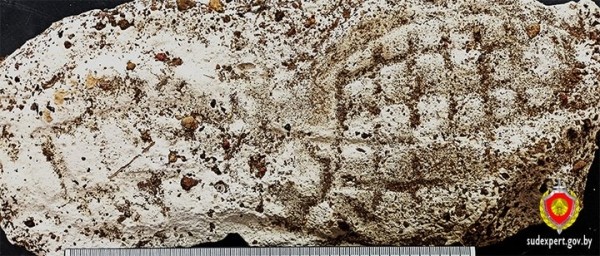 Кражу имущества из сараев раскрыли по оставленному следу обуви. Случай в Брестской области Кражу имущества из сараев раскрыли по оставленному следу обуви. Случай в Брестской области