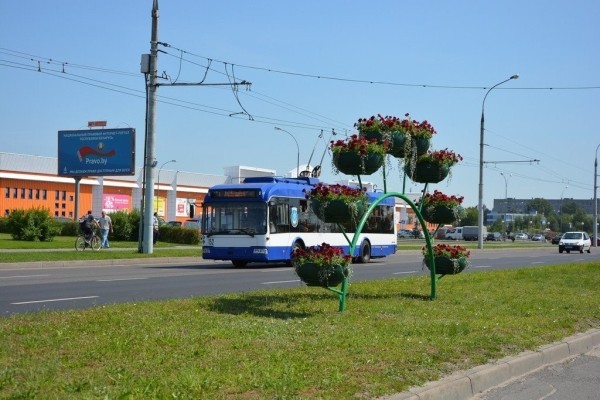 Тюльпаны, петунии, бегонии: около 500 тыс. цветов высадят в этом году в Бресте Тюльпаны, петунии, бегонии: около 500 тыс. цветов высадят в этом году в Бресте